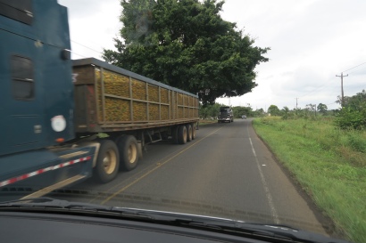 ein Lastwagen beladen mit Ananas
